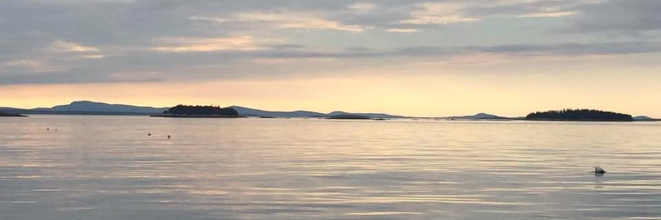 Ldallett's profile banner image
