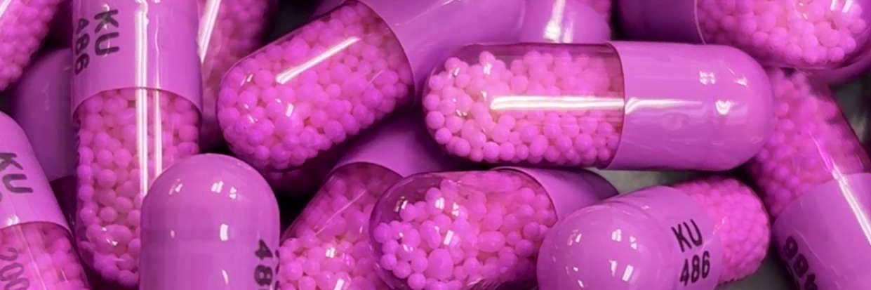 my name is jess. banner