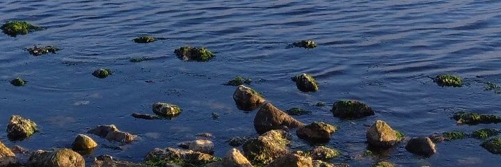 eminemame's profile banner image