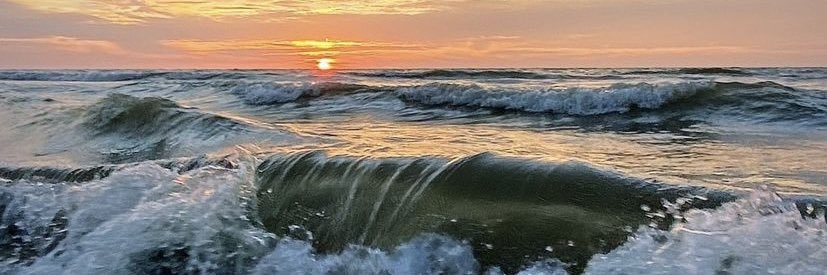 _camsanch's profile banner image