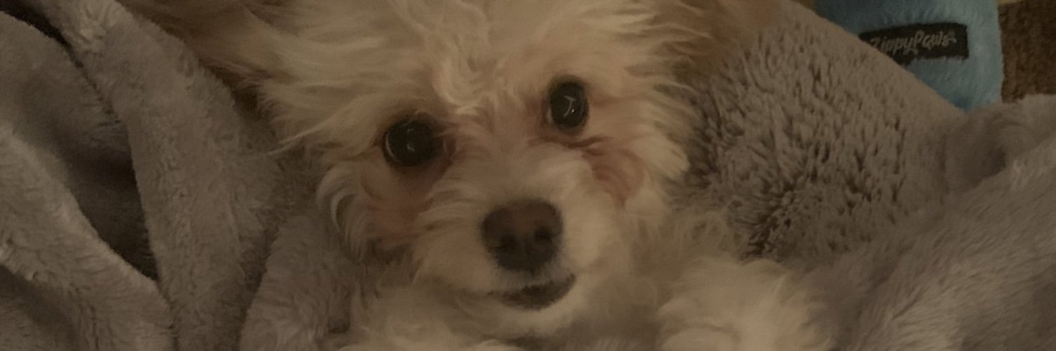 FeelsAshleyMan's profile banner image