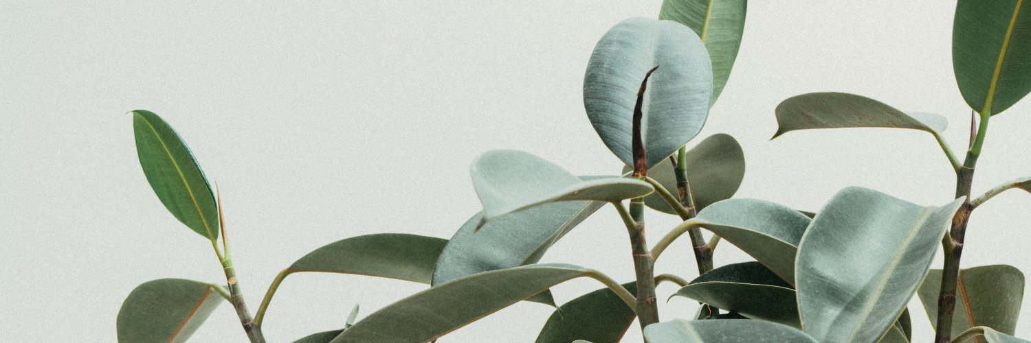 ⚡️ Sam. banner