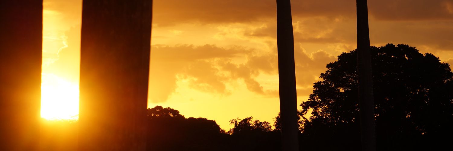 paco_fla's profile banner image