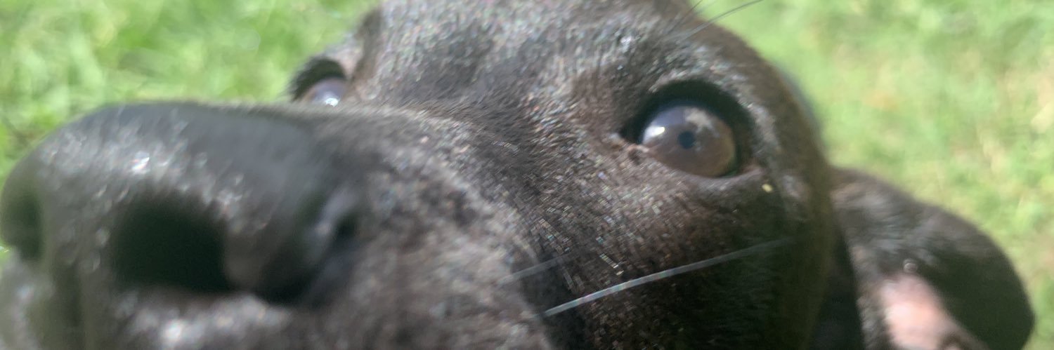 Caroline4ster's profile banner image