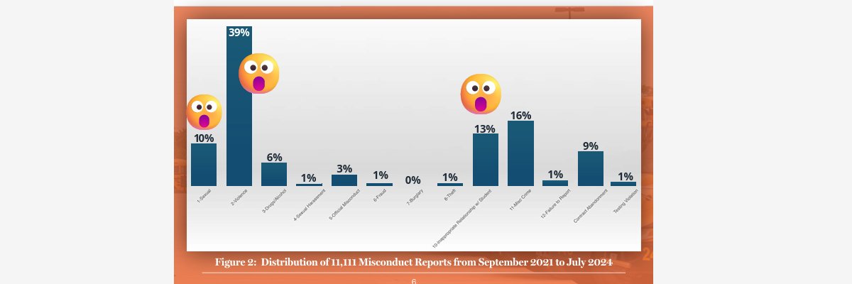 Aileen Blachowski TexEd 411 banner