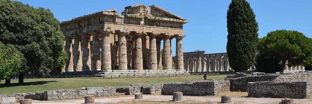 Tom🏺🏛️🌿 (he/him) banner