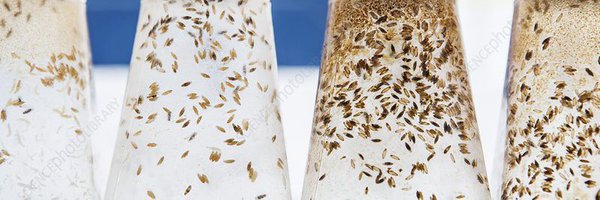 NPriestLab Profile Banner
