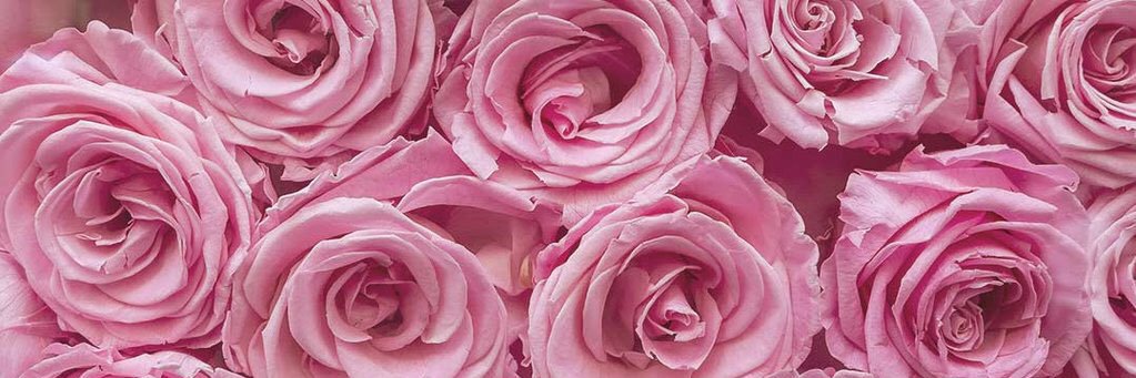 _WHOmarsha's profile banner image