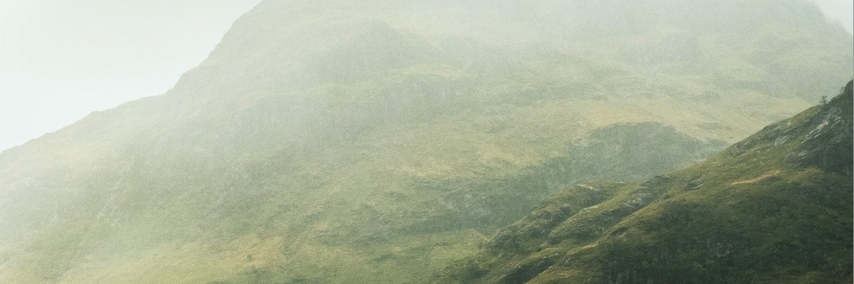 Looking North banner