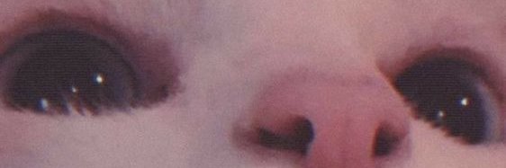 Emma😈 banner