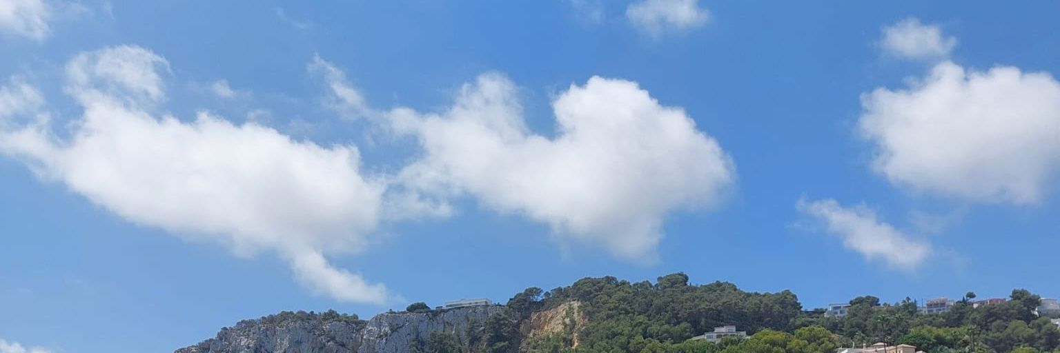 pɪαrsαn 🤍 banner