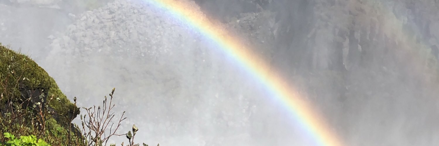 lmestrad's profile banner image