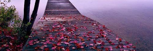 Assdsr1234's profile banner image