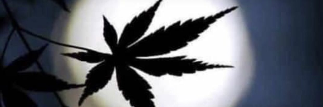 Ayotee_x's profile banner image