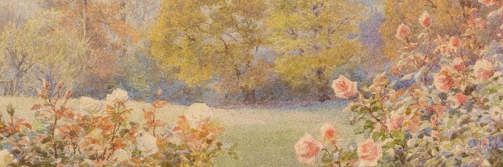 izzy ִ ࣪𖤐 banner