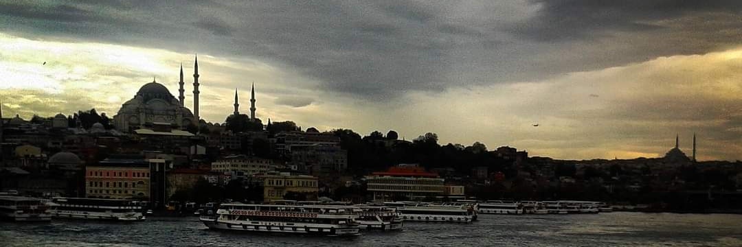 sehernurcici's profile banner image