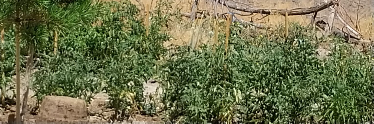 alper3039's profile banner image