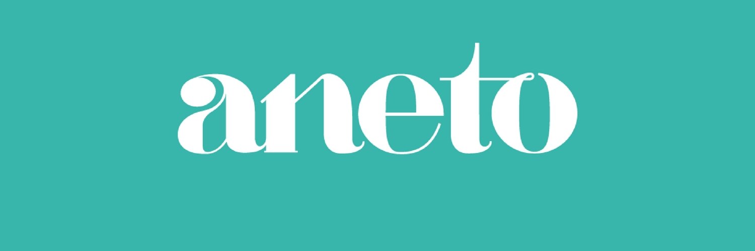 Aneto banner