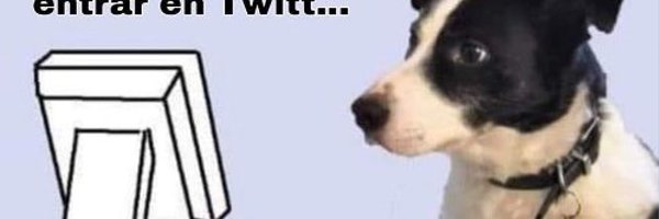 drsapg Profile Banner