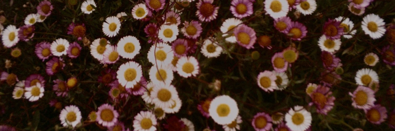 ✨not ok ✨ banner