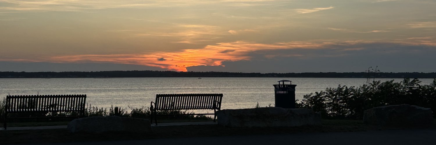 Wild Irish Colleen ☘️ banner