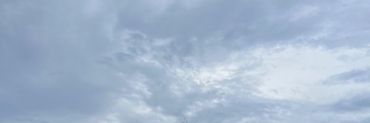 Stella 〽️ Gamez banner