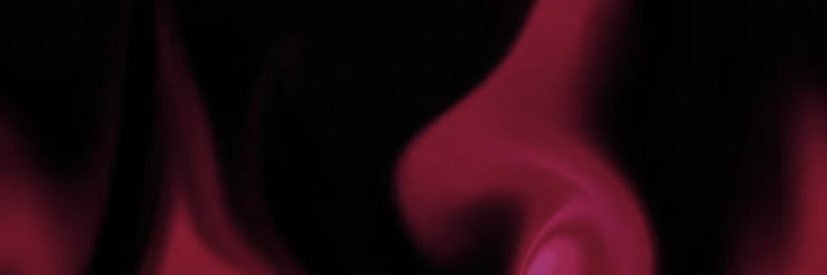 辣辣子 banner
