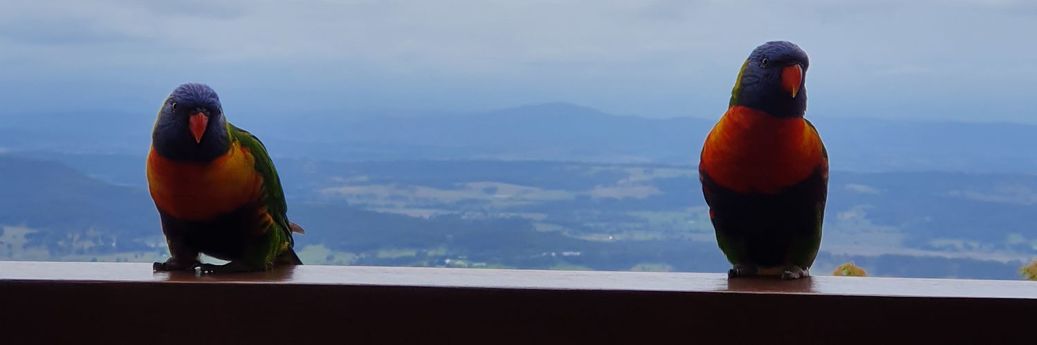 DanielleMedek's profile banner image