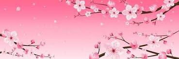 flameserupt's profile banner image