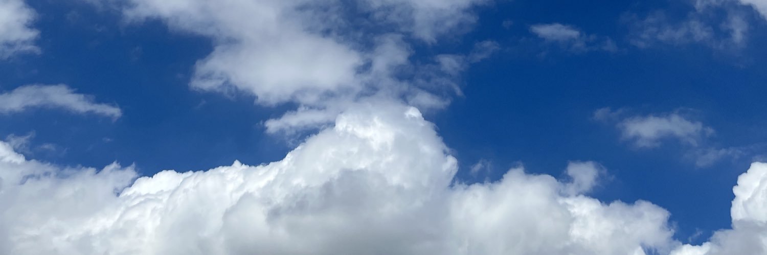 ロー・クルノワ banner