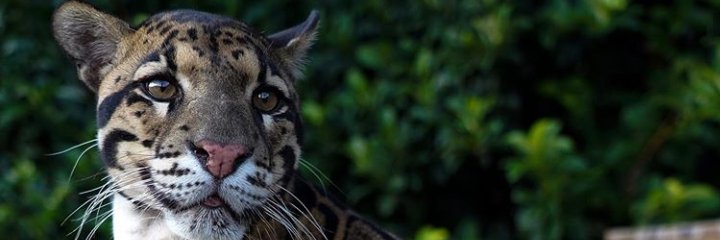 JordanAbiola's profile banner image