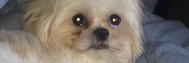 TheCynn's profile banner image