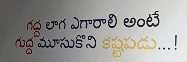 nothingnew984 Profile Banner