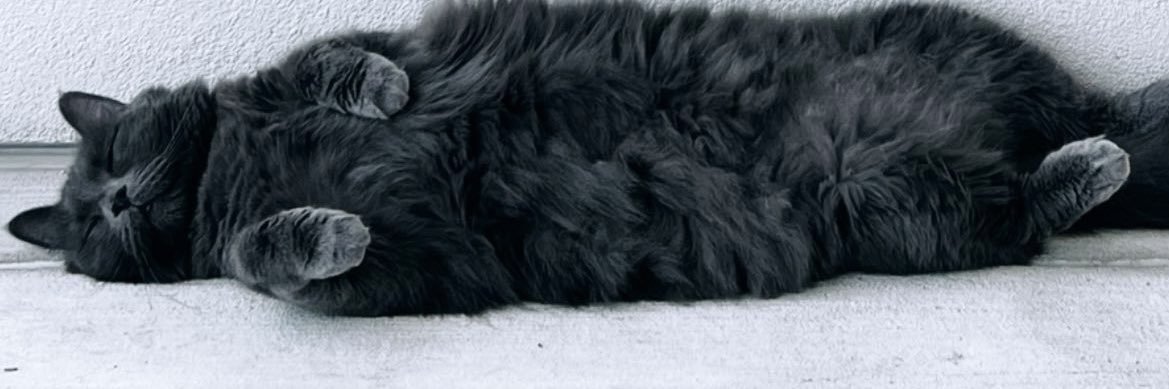 kateabuning's profile banner image