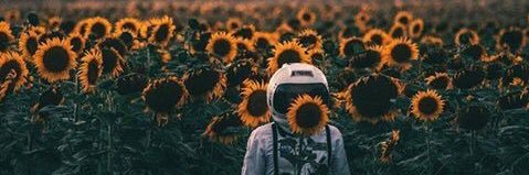 estefiperich's profile banner image