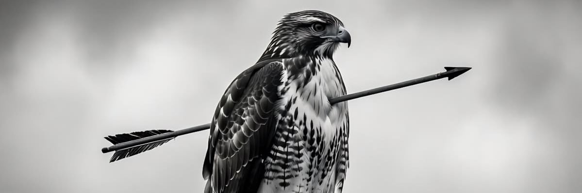 TheIZCrypto's profile banner image