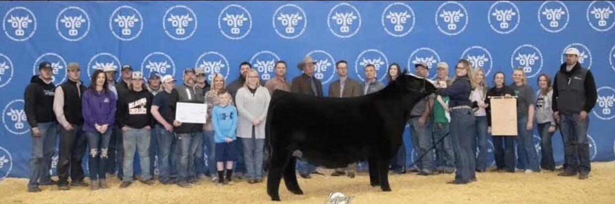ecaxshowcattle's profile banner image