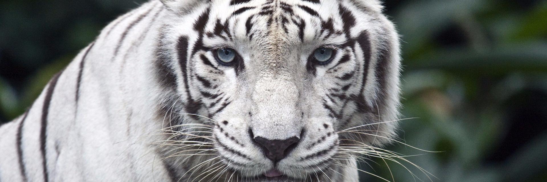 qpautrat's profile banner image