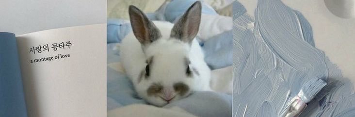 gigi🐽 ༘♡ banner