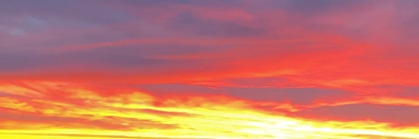 seaheath's profile banner image