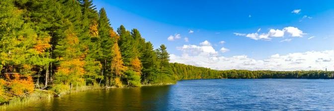JoeInMichigan's profile banner image