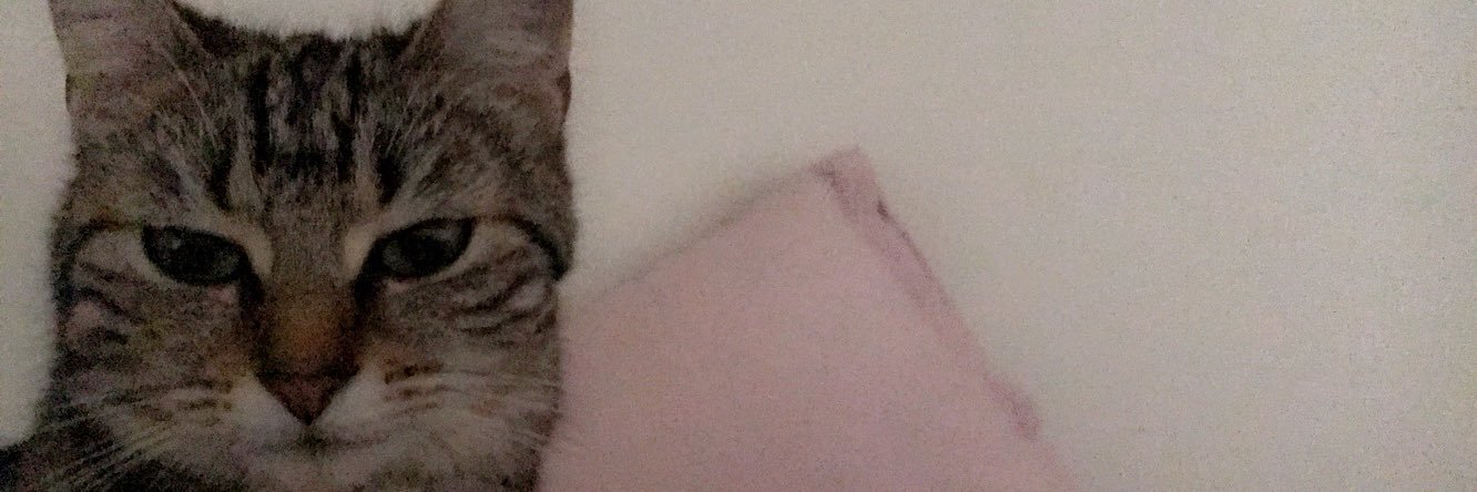 33 banner