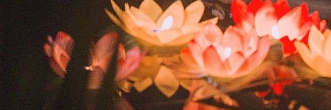 suvichka's profile banner image
