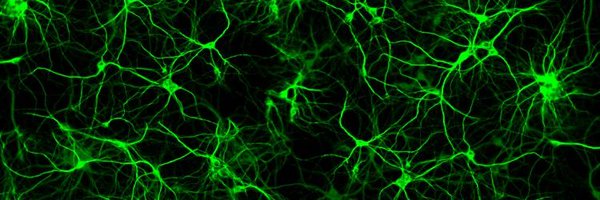JaimeeK_Neuro Profile Banner