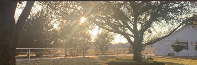 loganbruffett's profile banner image