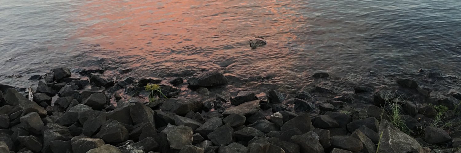 StealthPSN's profile banner image