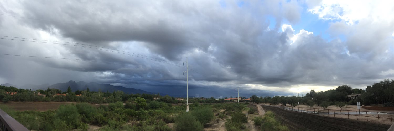 Irene McKisson 🌱🗞️💻 banner