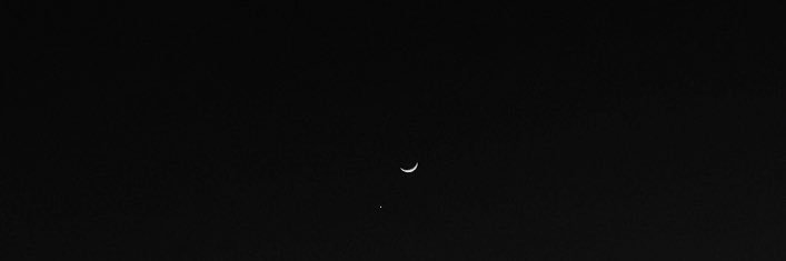 LifeAsAsala's profile banner image
