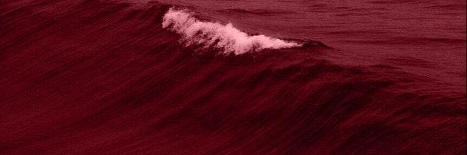 Hermite. banner