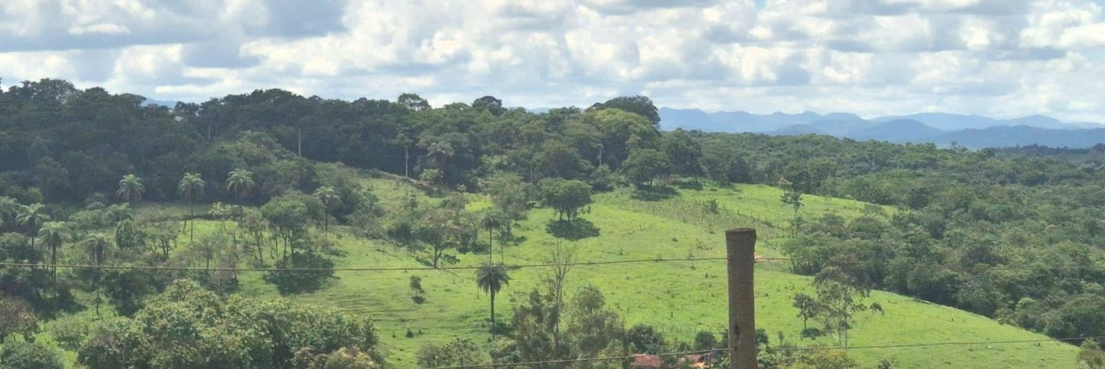 Guilherme Drummond banner